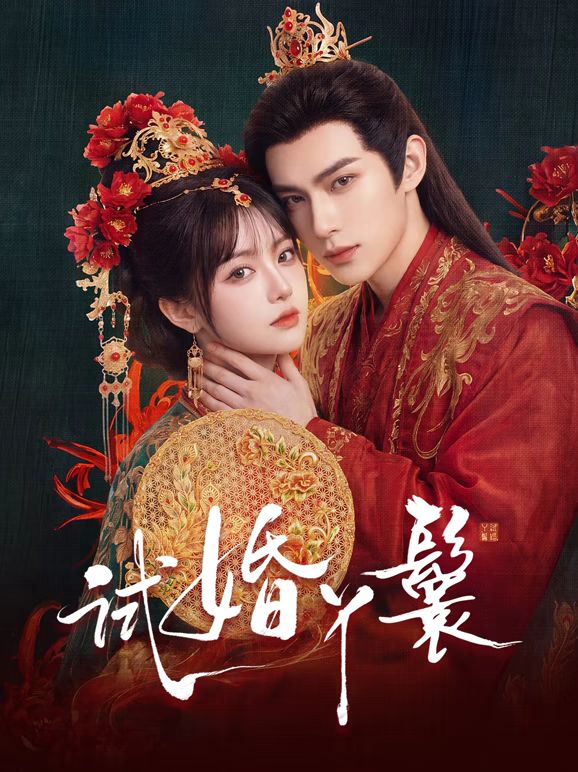 试婚丫鬟(2026)
